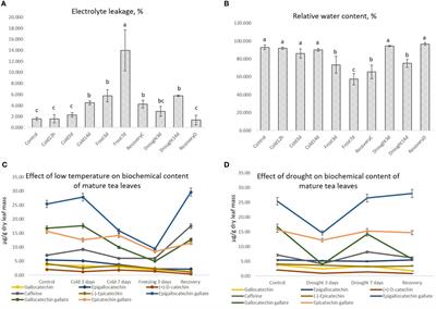 Long-term cold, freezing and drought: overlapping and specific regulatory mechanisms and signal transduction in tea plant (Camellia sinensis (L.) Kuntze)